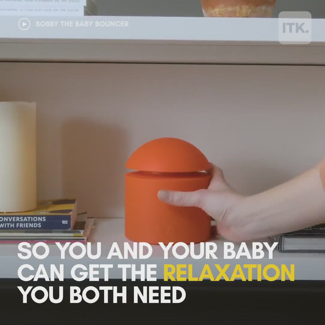 bobby the baby bouncer